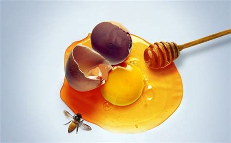Thus one must use egg for hair growth. 25 recipes for making natural protein pack for hair
