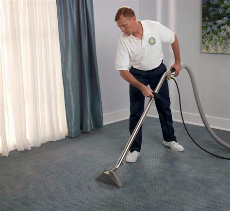 Four Reasons To Have Your Carpet Cleaned Regularly