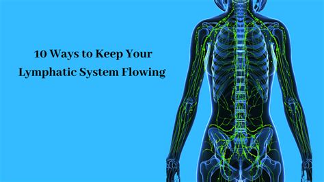 10 Ways To Keep Your Lymphatic System Flowing