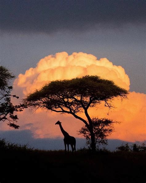 A Beautiful Sunset In Tanzania 🇹🇿 Africa Shot By Tomarcherphoto R