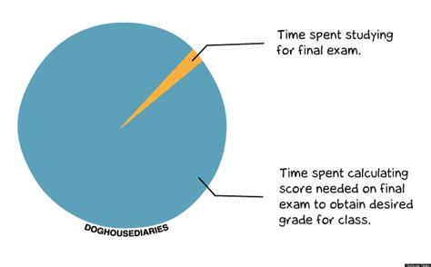 Doghouse Diaries Pie Chart Reveals Final Exam Study