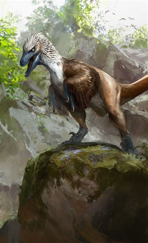Acheroraptor Temertyorumr Package Art By Jonathan Kuo Prehistoric