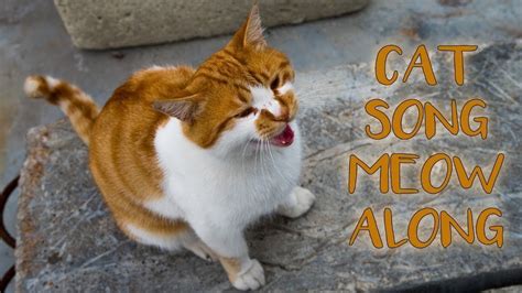 Meow The Cat Pet Song Leonarda Dover