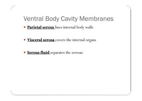 Ventral Body Cavity Membr