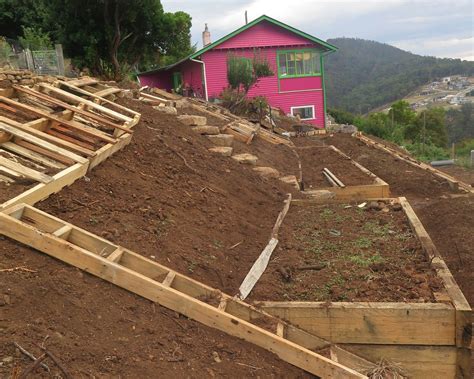 How To Landscape A Steep Slope Good Life Permaculture Backyard Hill