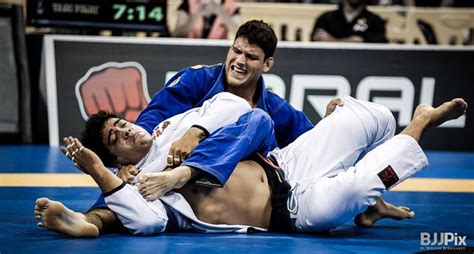 Top Bjj Fighters Today February 2015 Rankings Bjj Heroes