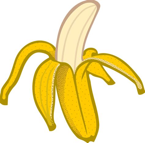 Download Banana Education Fruit Royalty Free Vector Graphic Pixabay