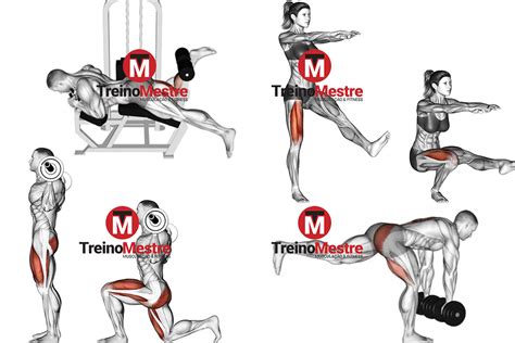 Treinos De Glúteos Completos Para Hipertrofia Do Bumbum