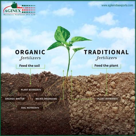 An Image Of Soil And Plants Labeled In The Words Organic Fertilizers