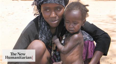 The New Humanitarian Thousands At Risk As Darfur Violence Restricts Aid Deliveries