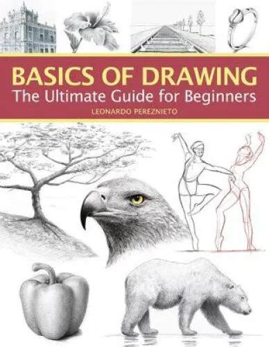 BASICS OF DRAWING The Ultimate Guide For Beginners By Pereznieto Leonardo PicClick