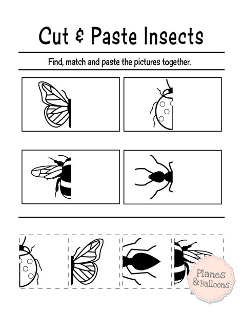 Cut And Paste Worksheet Preschool