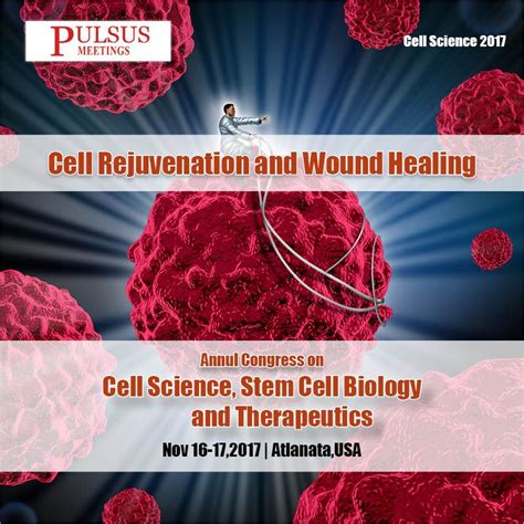 Cell Rejuvenation Is Described As The Reforming Of A Damaged Cell Skin
