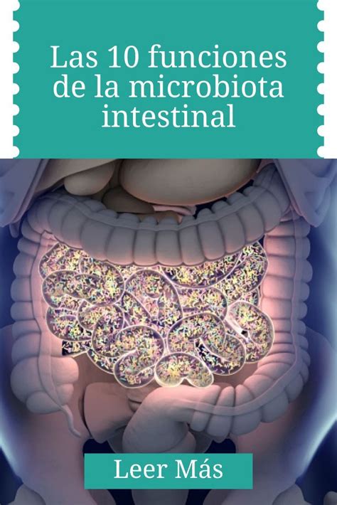 Las 10 Funciones De La Microbiota Intestinal Microbiota Intestinal