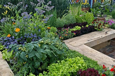 Choisir La Permaculture Pour Son Potager Le Guide Pour Bien Commencer