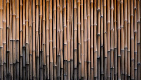 Bamboo Wall By Musicfreak312 On Deviantart