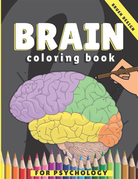 Buy Brain Coloring Book For Psychology A Neuroanatomy Human Brain