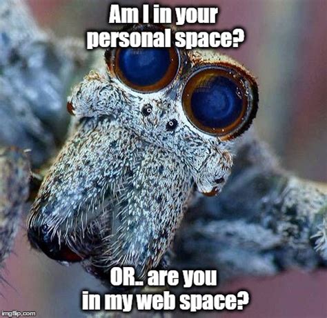 Image Tagged In Spiderpersonal Spacewebspace Imgflip
