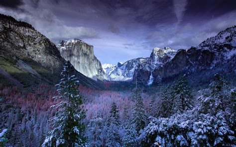 3840x2400 Snow Forests Yosemite Scenery 4k 4k Hd 4k Wallpapers Images