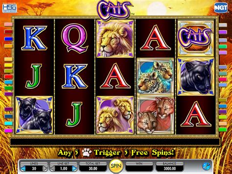 Once loaded, you can play offline slots games for free by scrolling to the interface and clicking on instant play. Cats Slot Machine Game - Free Play | DBestCasino.com