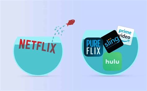 14 Best Netflix Alternatives In 2022 Free And Paid Igeeksblog All You Need To Know About 5 Of