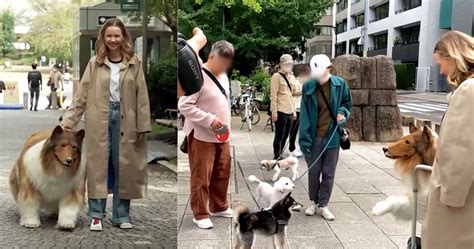 Japanese Man Who Spent S18600 On Dog Costume Goes For A Walk In