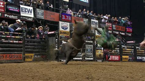 Pbr Bull Riding Wallpaper 69 Images