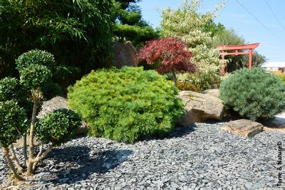 See more ideas about flower beds, plants, planting flowers. Slate - nice mulch to put in flower beds