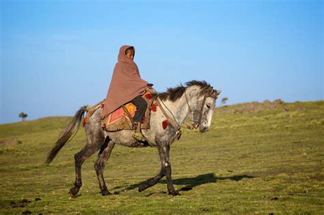 Ethiopian Child Shepherd On Horse Simien Mountains Samen Flickr