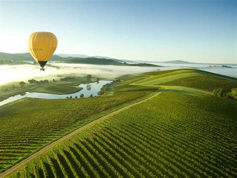 Yarra Valley, Destinations, Yarra Valley and Dandenong Ranges, Victoria