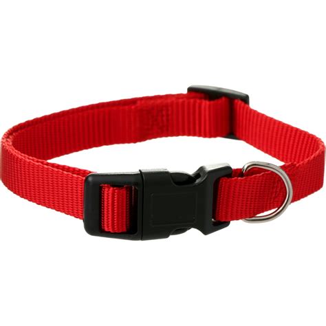 Brilliant Basics Small Dog Collar Red Big W