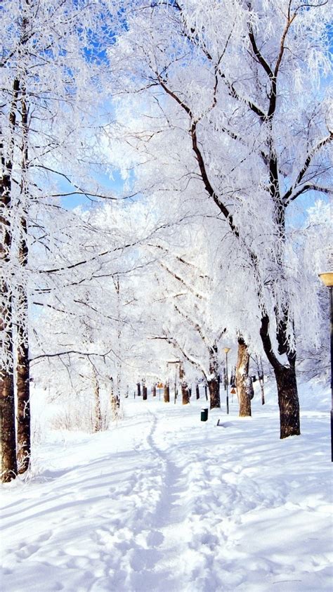 Chiêm Ngưỡng Hơn 95 Hình ảnh đẹp Về Thiên Nhiên Mùa đông ấn Tượng Nhất