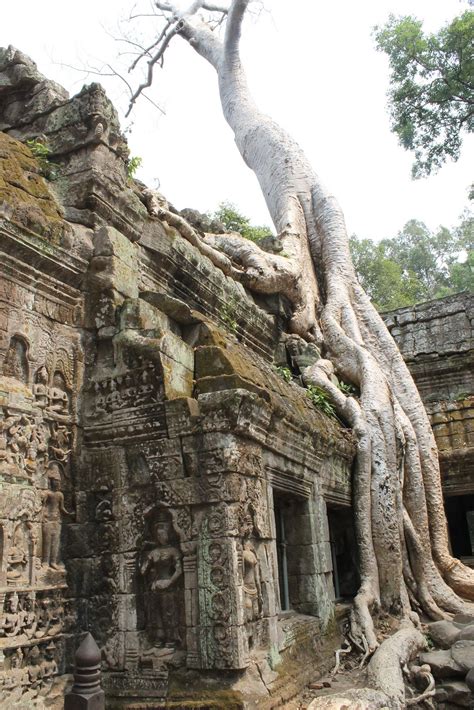Angkor wat, located in northwest cambodia, is the largest religious structure in the world by land area, measuring 162.6 hectares. Kambodscha - Angkor Wat | Kambodscha, Verlassene orte ...