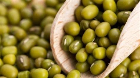 Check spelling or type a new query. Ini 5 Manfaat Kacang Hijau Bagi Kesehatan Tubuh, Salah ...