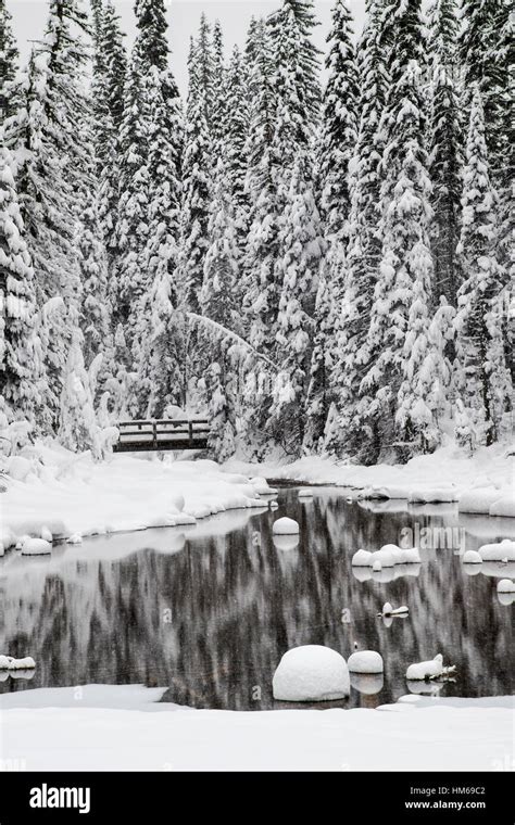 Snowy Winter Landscape And Wooden Pedestrian Bridge Emerald Lake Yoho