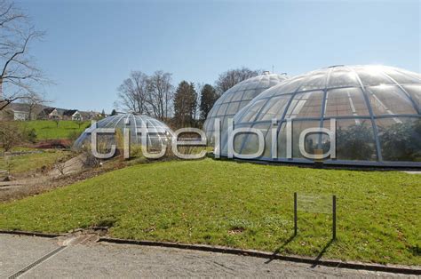 Wir haben für sie an 364 tagen im jahr geöffnet. Objektbilder: Botanischer Garten, Zürich