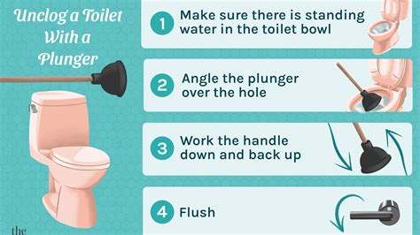 View 20 How To Fix Clogged Toilet Without Plunger Artcarolinapic00
