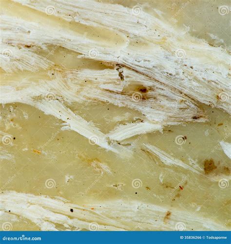 Textures Of Yellow Wooden Pulp Stock Photo Image Of Surface Blank