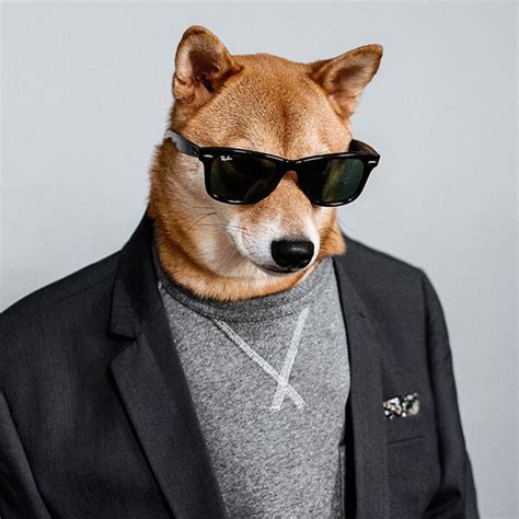 Most Well Dressed Dog From Menswear Dog Design Swan