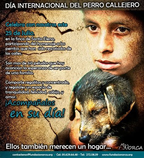 5 cajas de 6 unidades de vino perro callejero blend de malbec, 9 cajas de 6 unidades de vino perro callejero blend de malbec. Hola: Día Mundial del Perro Callejero 25/julio/2010 COLOMBIA