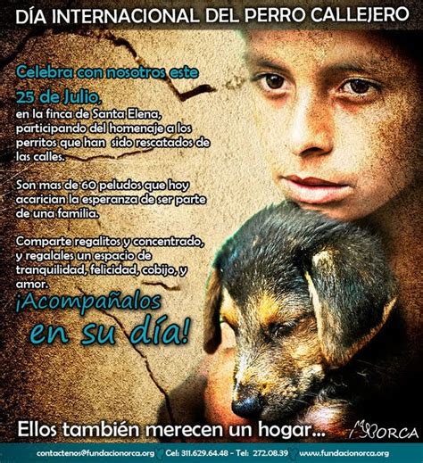 Esta efeméride mundial fue creada en el año 2004, motivado por la inmensa importancia de estos animales en el diario vivir de los seres humanos. Hola: Día Mundial del Perro Callejero 25/julio/2010 COLOMBIA