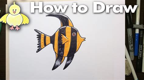 How To Draw A Cartoon Angel Fish Step By Step Youtube