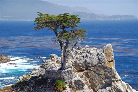 Lone Cypress Monterey Bay Ca Nthomasit Flickr