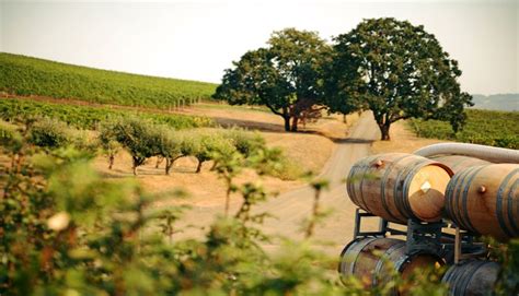 The 6 Best Wineries To Visit In Oregon Wine Country Orbitz Oregon