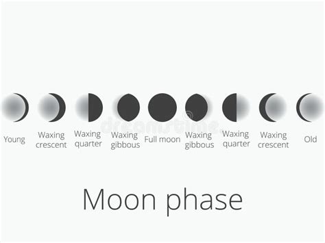 As Fases Da Lua O Ciclo Inteiro Da Lua Nova A Completamente V