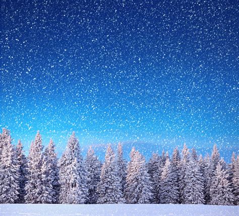 Snowing Field Stock Photos Pictures And Royalty Free Images Istock