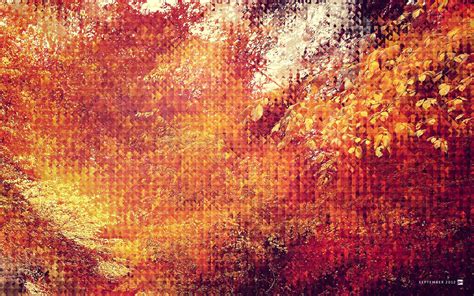 Fall Hd Wallpaper Background Image 1920x1200 Id
