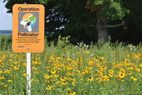 Producers Encouraged To Create Pollinator Habitat Alberta Farmer Express