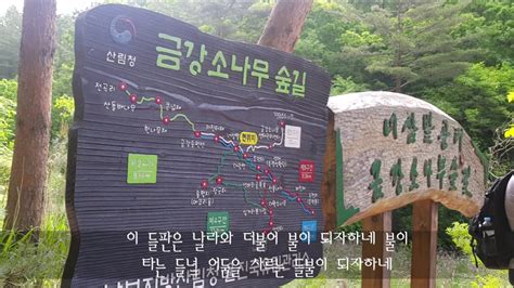 이 두메는 날라와 더불어 꽃이 되자하네 꽃이 피어 눈물로 고여 발등에서 갈라진 녹두꽃이 되자하네 이 산골은 날라와 더불어 새가 되자하네 새가 아랫녘. 죽창가 - 노래2울진 금강송숲길 - YouTube