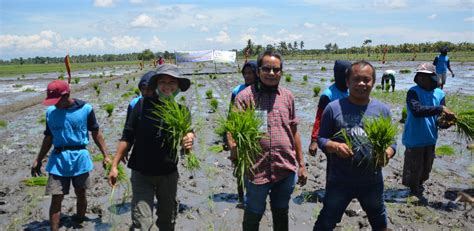 According to the 2015 census, it has a population of 28,387 people. RICE PLANTING RACE IN DATU PAGLAS BRINGS JOY TO THE ...